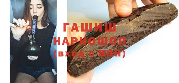 дживик Ельня