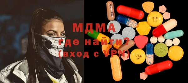 дживик Ельня