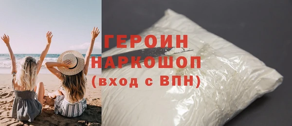 дживик Ельня