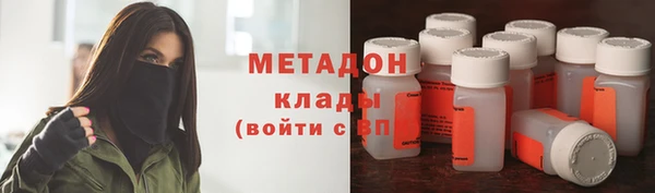 дживик Ельня