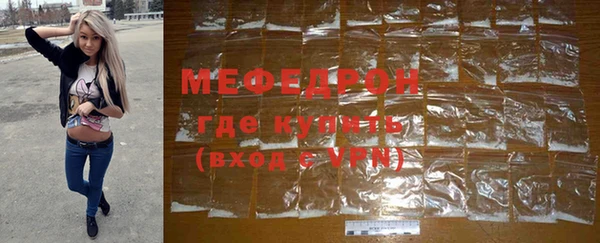дживик Ельня