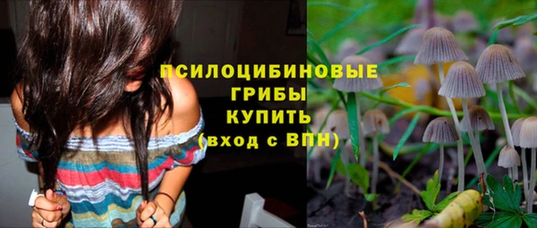 дживик Ельня