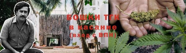 дживик Ельня