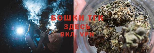 дживик Ельня
