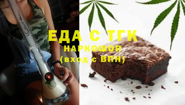 дживик Ельня