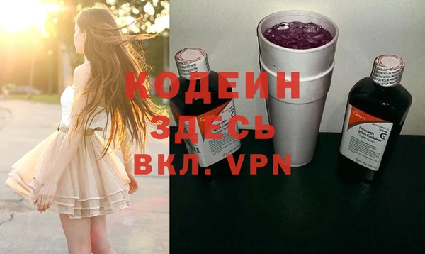 дживик Ельня