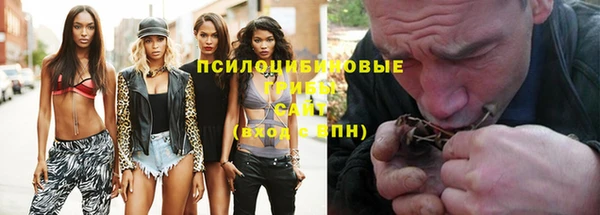 дживик Ельня